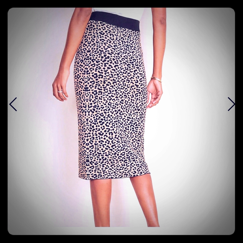 Ann Taylor Pencil Skirt